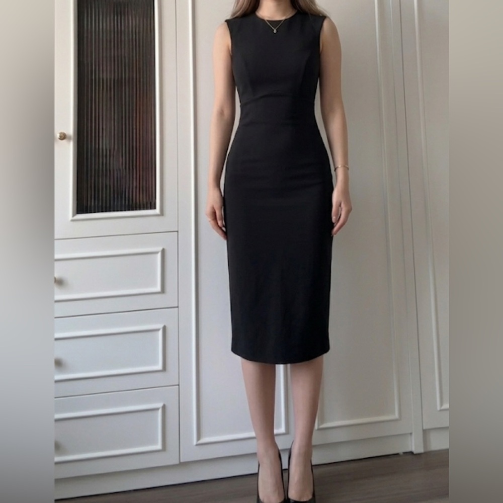 Express Black Business Dress - Sleeveless Fitted Silhouette